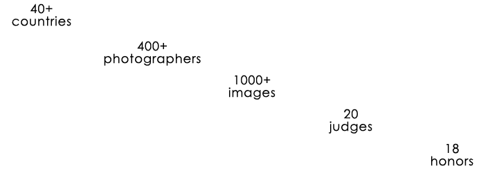 amResultsHeader
